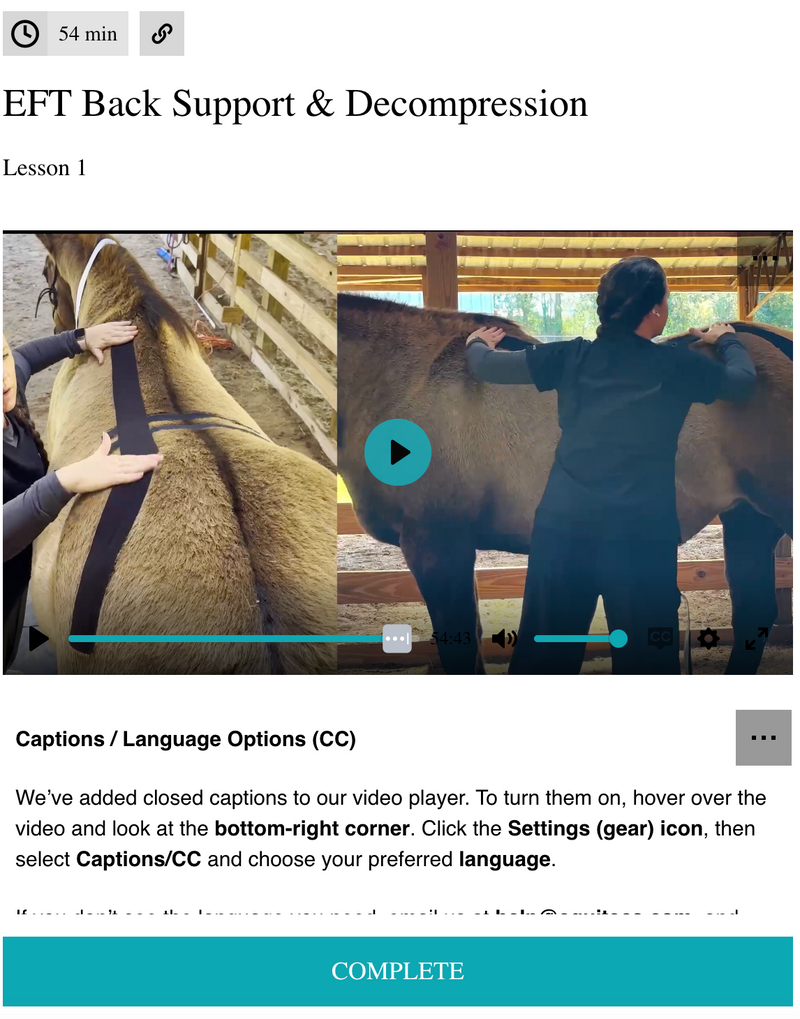 EquiTecs EFT Back Support & Decompression digital course demonstrating thoracic lumbar functional taping for horse back injury rehab kissing spine support and instability patterns.