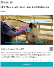 EquiTecs EFT Muscle Activation digital course demonstrating horse neck functional taping for front limb extension to correct short strided and restricted reach patterns.