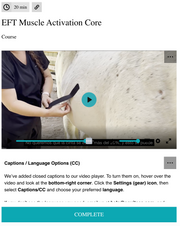 EquiTecs EFT Muscle Activation Core digital course demonstrating horse abdominal functional taping for core muscle activation to support engagement posture and bigger movement.