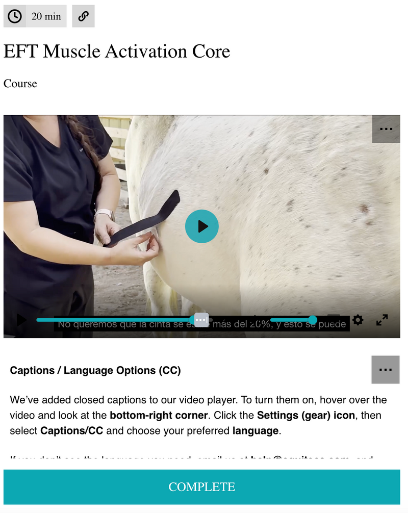 EquiTecs EFT Muscle Activation Core digital course demonstrating horse abdominal functional taping for core muscle activation to support engagement posture and bigger movement.