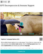 EquiTecs EFT Decompression digital course demonstrating lymphatic immune support functional taping for horse allergy hives support heaves type breathing patterns and whole body swelling.