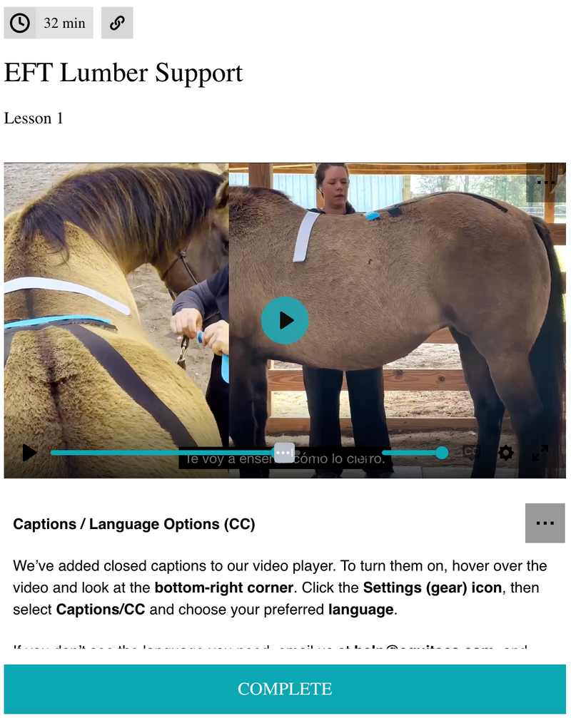 Equine Technologies Institute digital course for horse lumbar spine support, glute activation, and hind end weakness.