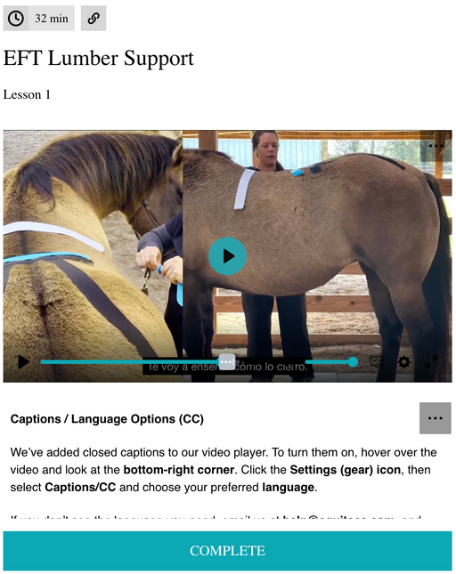 Equine Technologies Institute digital course for horse lumbar spine support, glute activation, and hind end weakness.