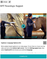 EquiTecs EFT Neurologic Support course for nerve  taping for stringhalt, sidewinder gait, PSSM, parasite recovery, mare heat cycles, digestive distress, or nerve trauma.