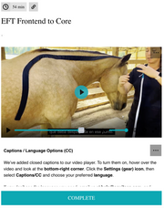 EquiTecs App online video training for equine thoracic sling functional taping to support horse body organization, posture correction, and eliminating forehand heaviness.
