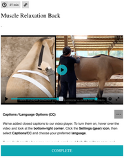 EquiTecs EFT Muscle Relaxation Back digital course demonstrating horse spine functional taping for back muscle relaxation tight back soreness tension patterns and topline development.
