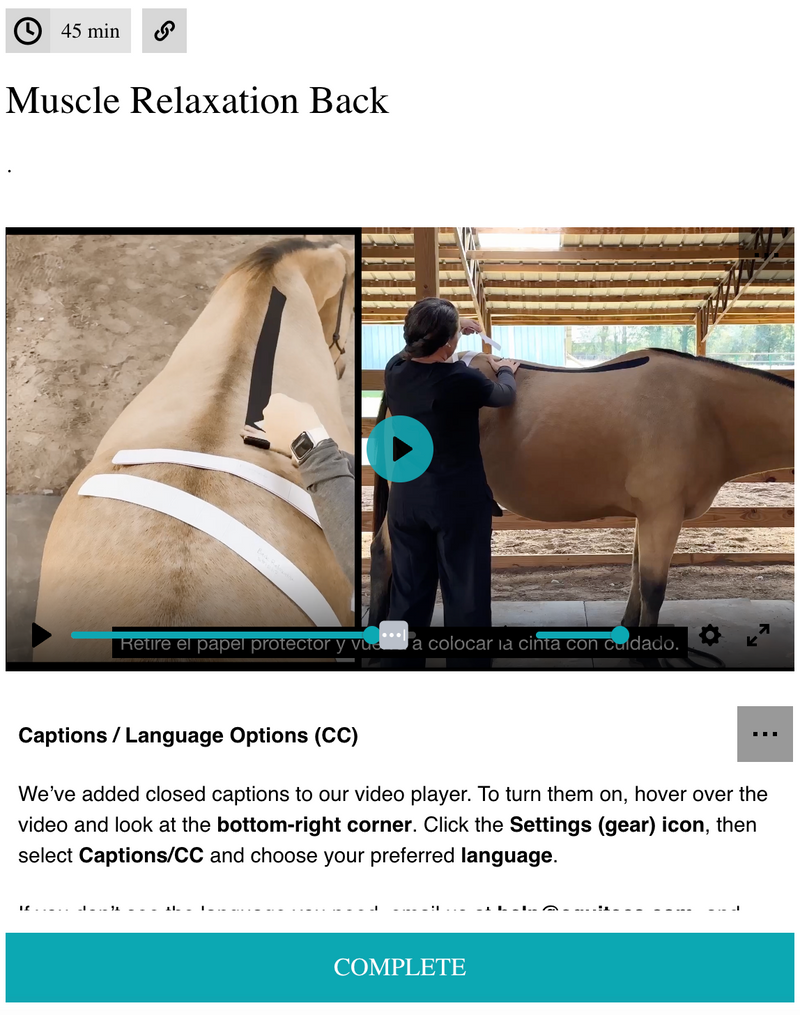 EquiTecs EFT Muscle Relaxation Back digital course demonstrating horse spine functional taping for back muscle relaxation tight back soreness tension patterns and topline development.
