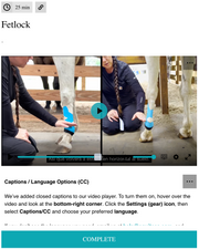 EquiTecs EFT Fetlock Support digital course demonstrating equine functional taping for fetlock region stability pastern support suspensory support overextension patterns and DSLD rehab.