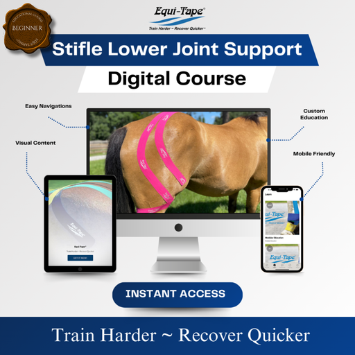 Equi-Tape Stifle Module—Level 1—Lower Joint Support. This module teaches anatomy, common issues with the stifle, and applications designed to address the real causes behind stifle injuries. 