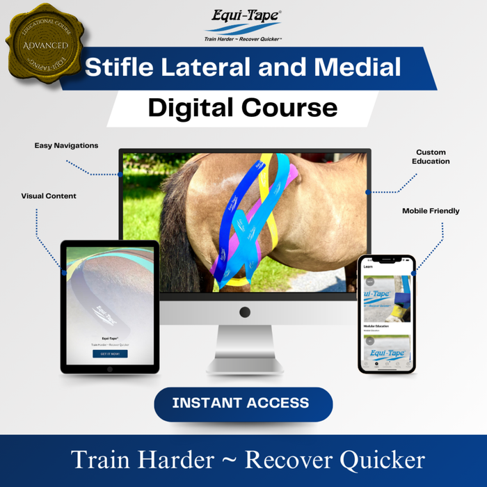 Equi-Tape®'s equine kinesiology taping application for the horse's stifle. Designed for: Lateral & Medial: Full lateral and medial support of the stifle joint for training and rehab. Great for horse stifle joint injuries. 