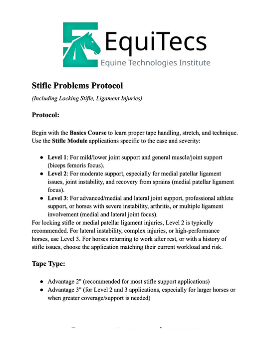 Stifle Problems Protocol