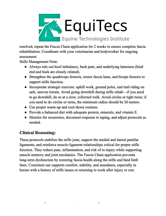 Stifle Problems Protocol
