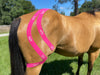 Equi-Tape® equine kinesiology taping application for: Lower Joint Support: Promotes stability and muscle development.