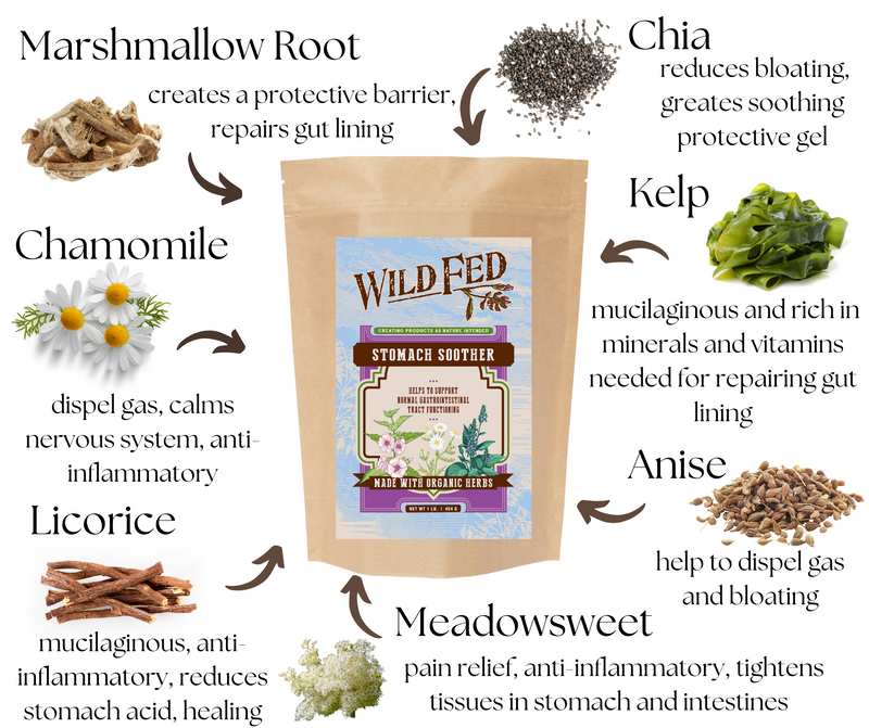 Wild Fed Horse Stomach Soother Organic Herbal Horse Supplement