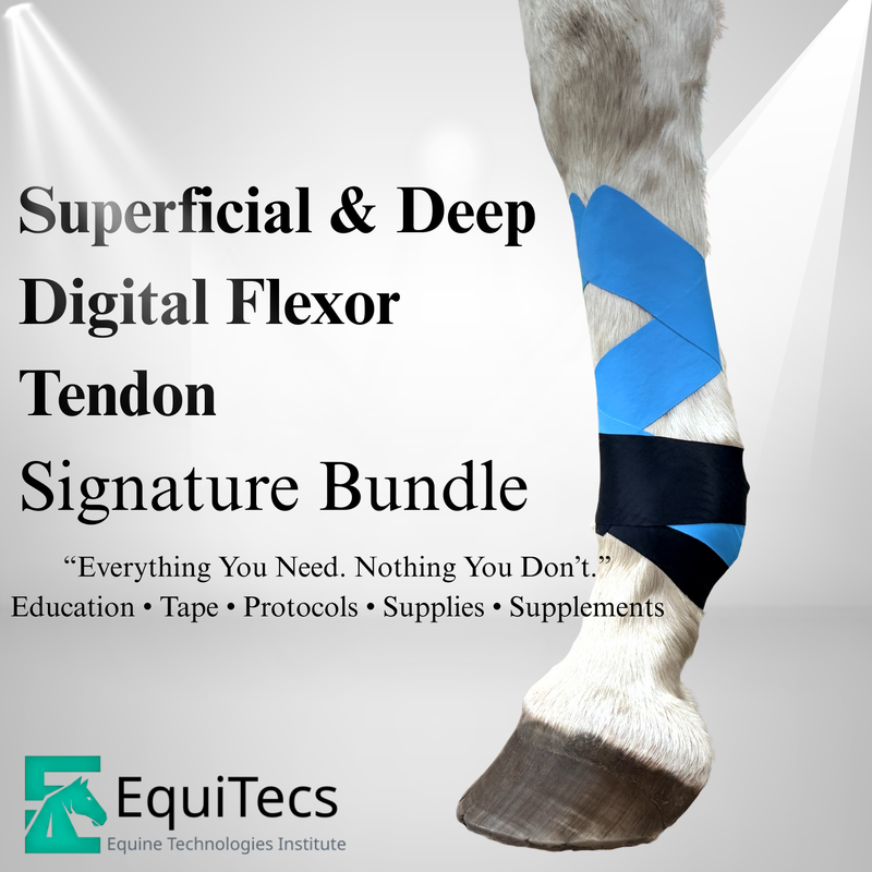 Superficial & Deep Digital Flexor Tendon Signature Bundle