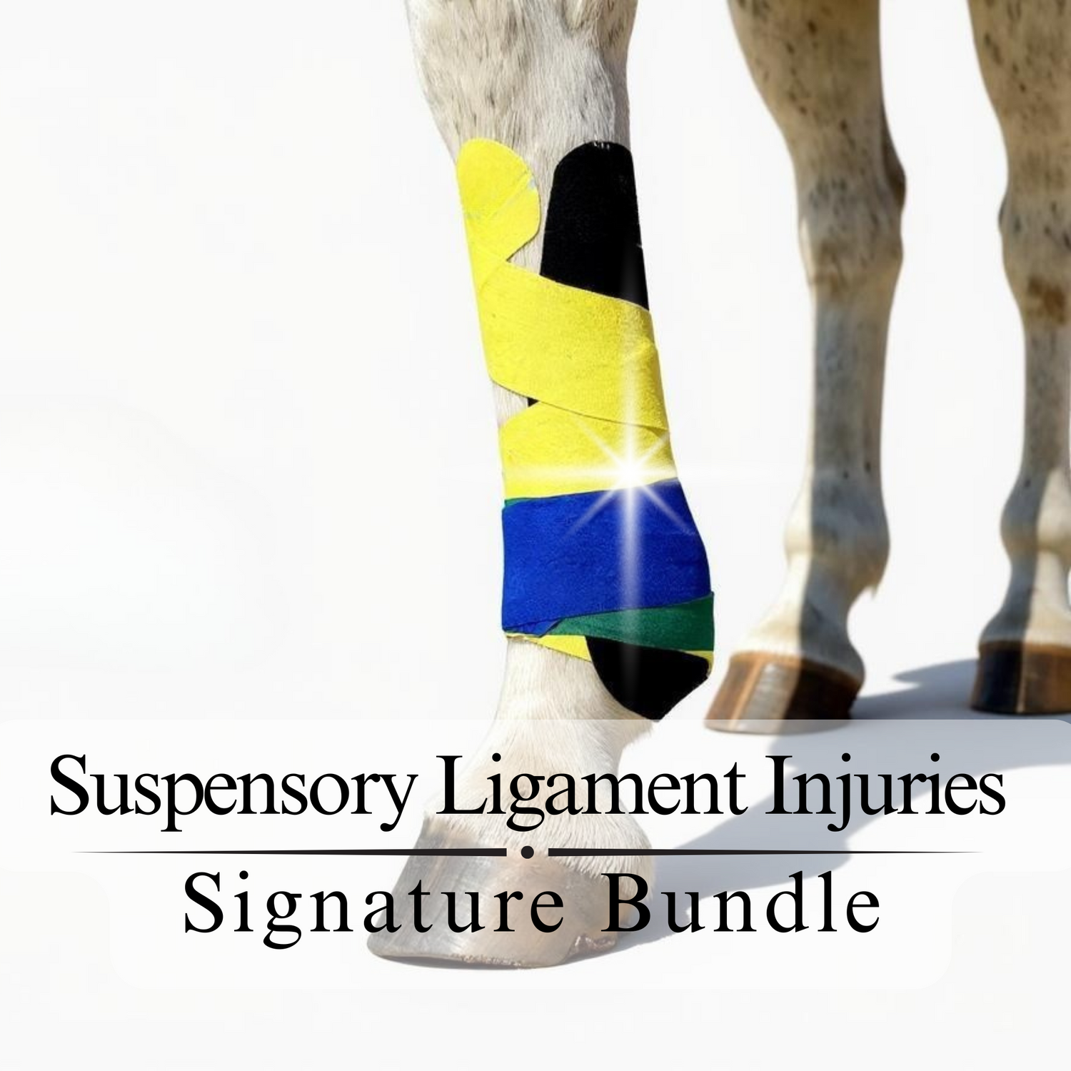 Suspensory Ligament Injury Protocol