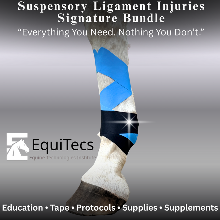 Suspensory Ligament Injuries Signature Bundle