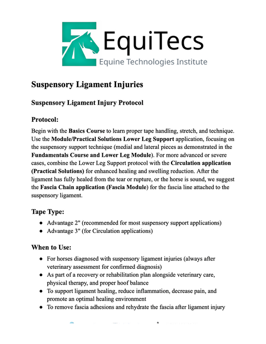 Suspensory Ligament Injury Protocol