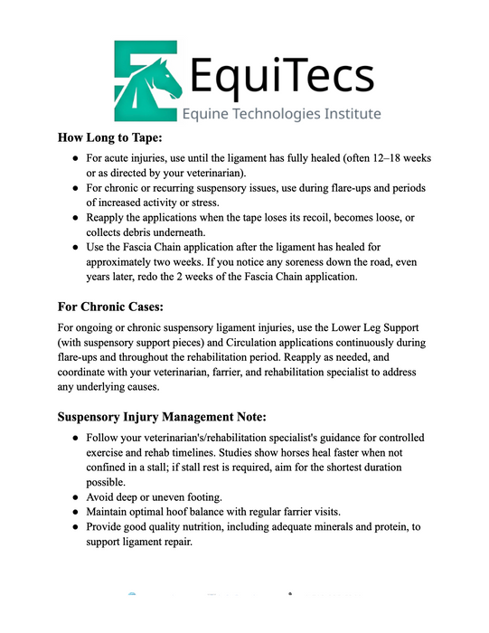 Suspensory Ligament Injury Protocol
