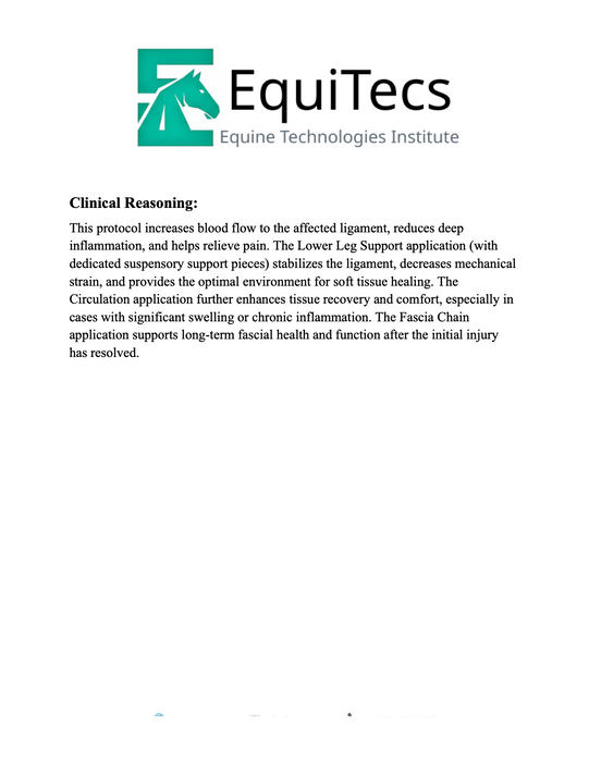 Suspensory Ligament Injury Protocol