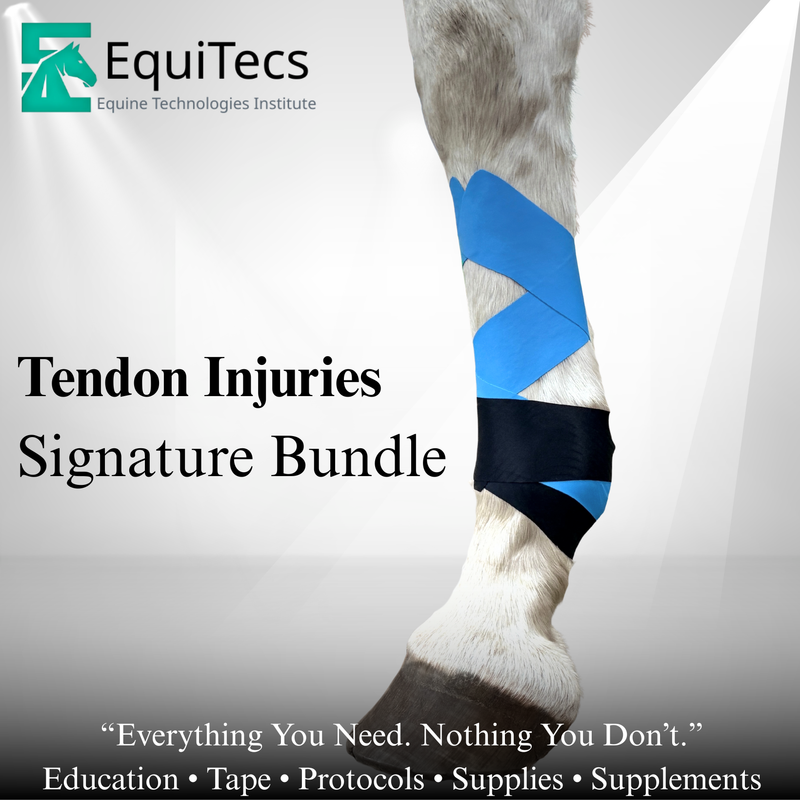Superficial & Deep Digital Flexor Tendon Signature Bundle