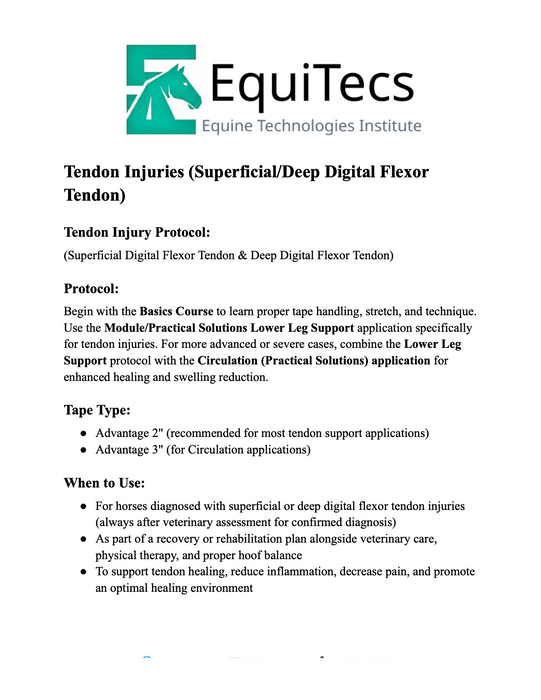 Tendon Injuries Protocol
