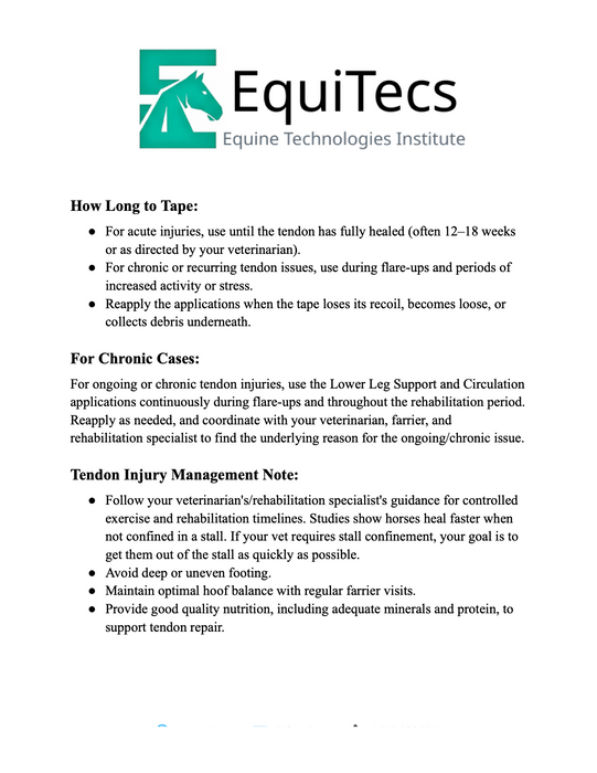 Tendon Injuries Protocol