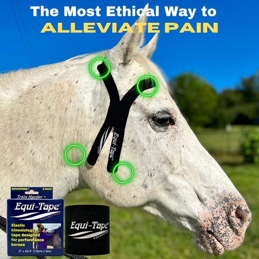 Equi-Tape® is the most ethical way to relieve pain. All natural, no active ingredients, no side effects, safe and easy to use. 
