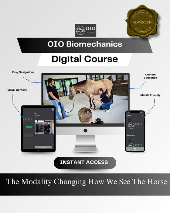 OIO Biomechanics Taping Modality. Transform your understanding of equine movement with Rebecca Haddock’s proprietary OIO (Observe • Interpret • Optimize™) system. This is the only course that teaches true biomechanic taping—structurally and methodologically distinct from kinesiology taping. If you want to identify, assess, and address movement dysfunction at its root, this is your next step.