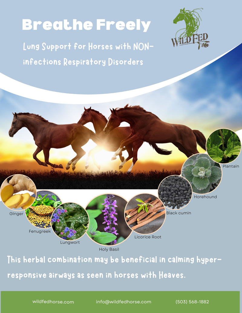 Wild Fed Breathe Freely Organic Herbal Horse Supplement