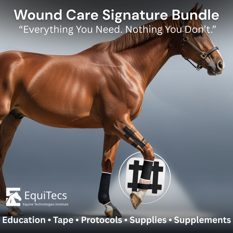 EquiTecs EFT wound care support graphic showing an alternative to vetwrap and standing wraps for horses.