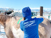 Equi-Tape® works even in the winter in the snow. 