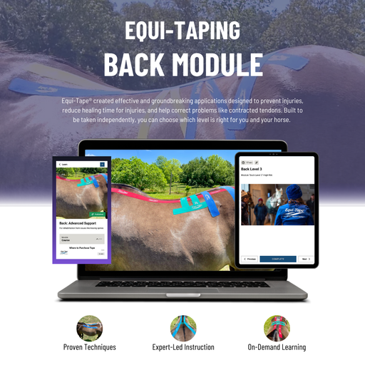The Equi-Tape® Back Module - Choose your level—Beginner (Bronze), Intermediate (Silver), or Advanced (Gold)—and get step-by-step, science-backed instruction you can use at the barn, clinic, or showground.