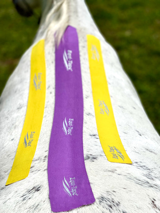 Equi-Tape equine kinesiology taping application for back soreness and spinal decompression. It is used for horses that are sore in their backs and have spinal congestion. 