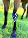 Equi-Tape® application for circulation support for swollen carpus "knee."