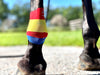 Equi-Tape® application for horse's lower leg injuries and prevention. 