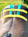 Equi-Tape® application for lumbar and hind-end support. Use this application for lumbar injuries or instability, SI injuries and instability, or for preventative care for equine athletes. 