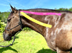Equi-Tape® application for a horse's sore, stiff, or painful neck. 