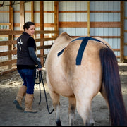 Rebecca Haddock teaching at the OIO Biomechanics Course.