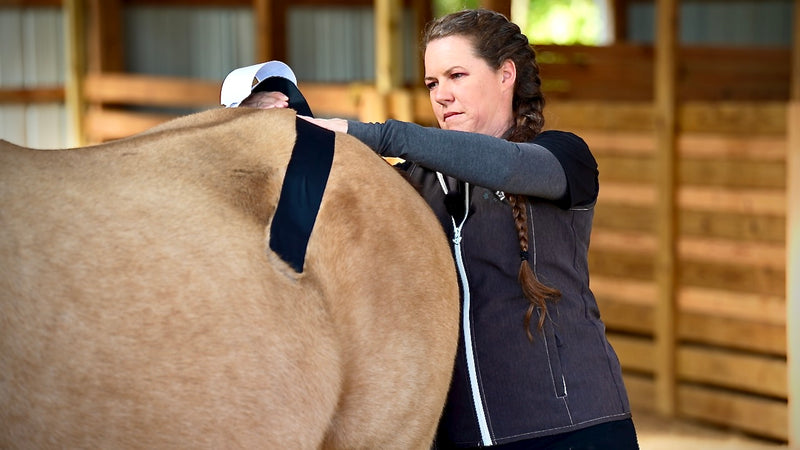 Rebecca Haddock teaching at the OIO Biomechanics Course.