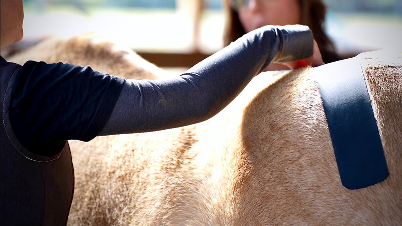 OIO Biomechanics application for hip and pelvis stabilization. 