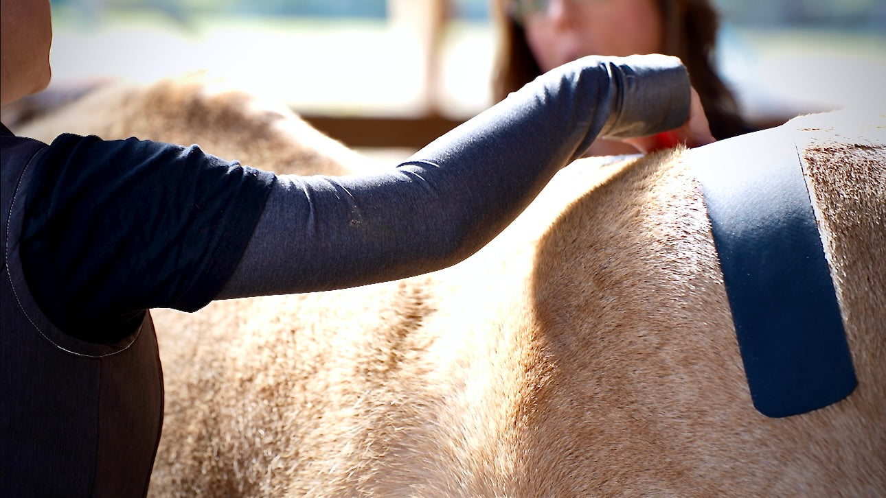 OIO Biomechanics application for hip and pelvis stabilization. 