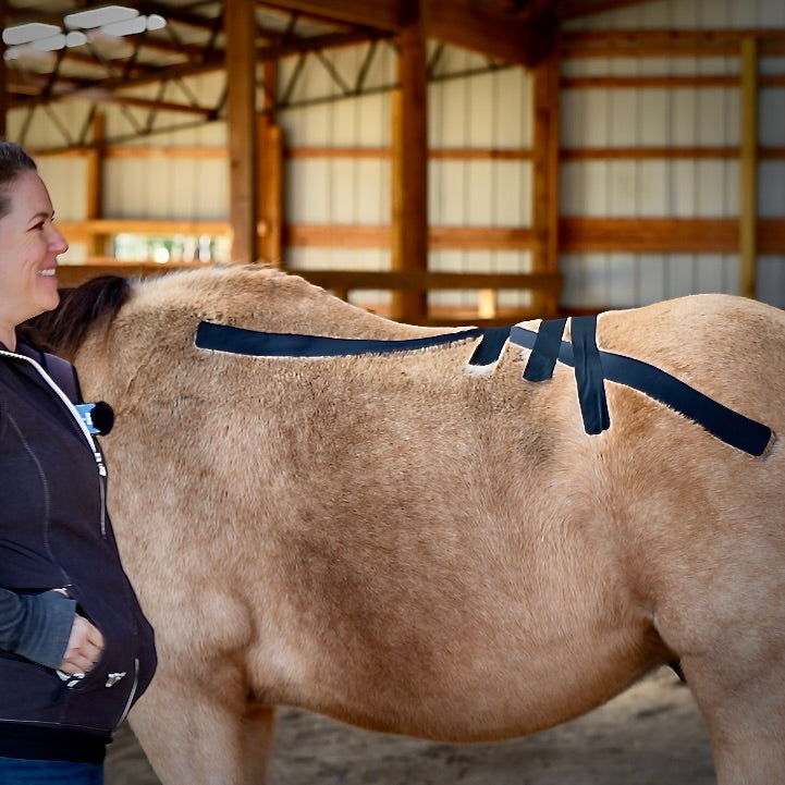 Rebecca Haddock teaching lumbar stabilization and force reduction at the OIO Biomechanics Course. 