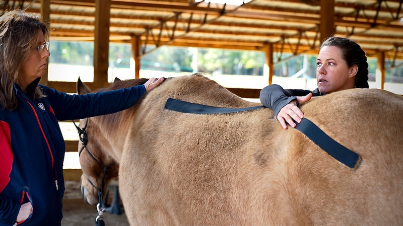 Rebecca Haddock teaching thoracic stabilization at the OIO Biomechanics Course. 