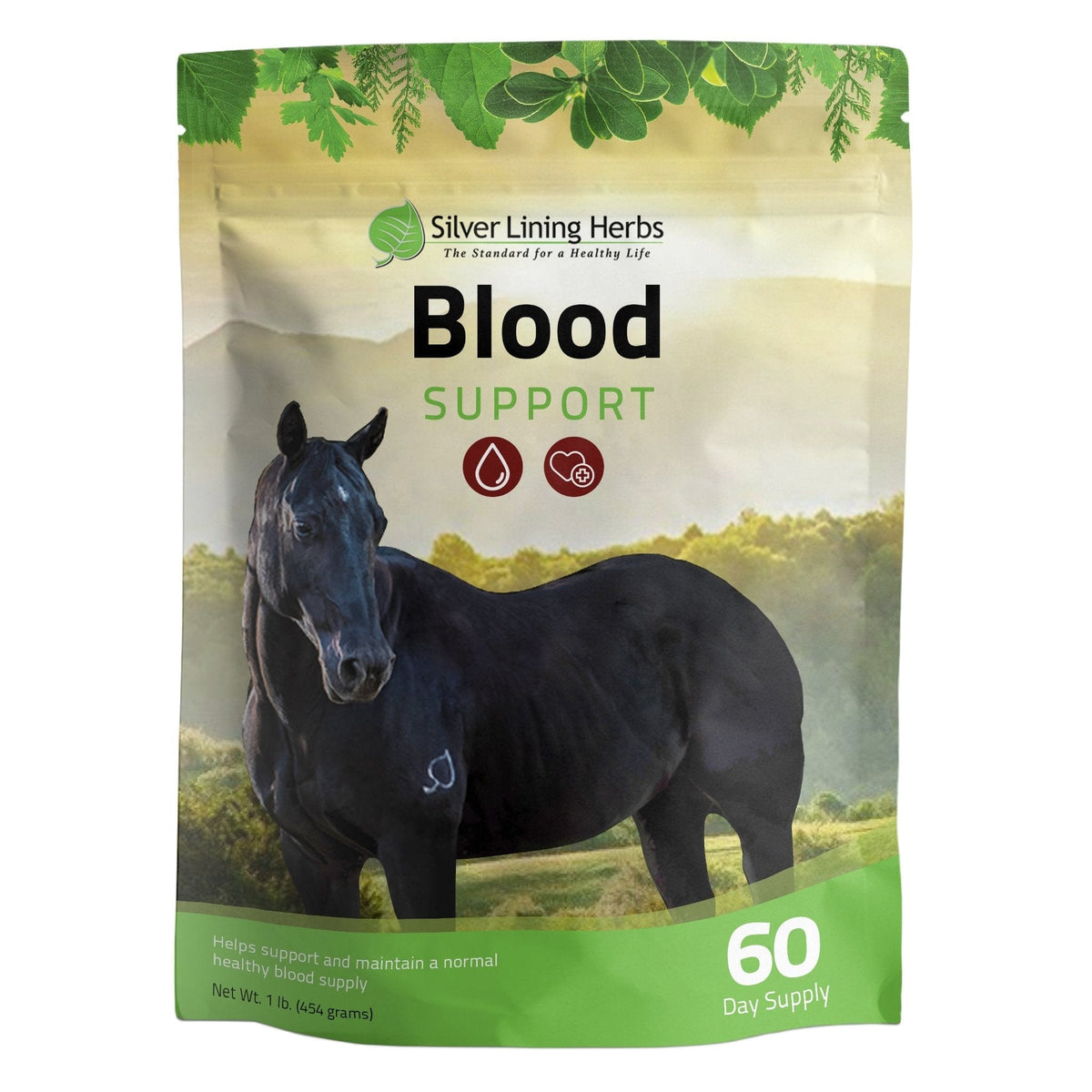 Blood Support for Horses — EquiTecs