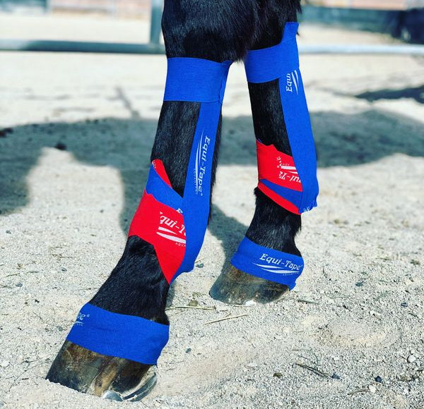 Equi-Tape® Application for Fetlock and Suspensory Support.
