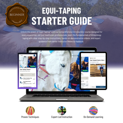Equi-Taping Basic Course. Equine kinesiology taping for beginners. 