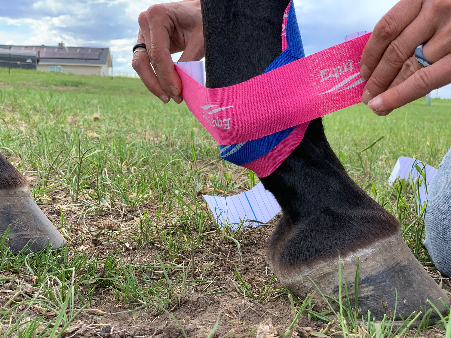 Equi-Tape® Application for fetlock support.