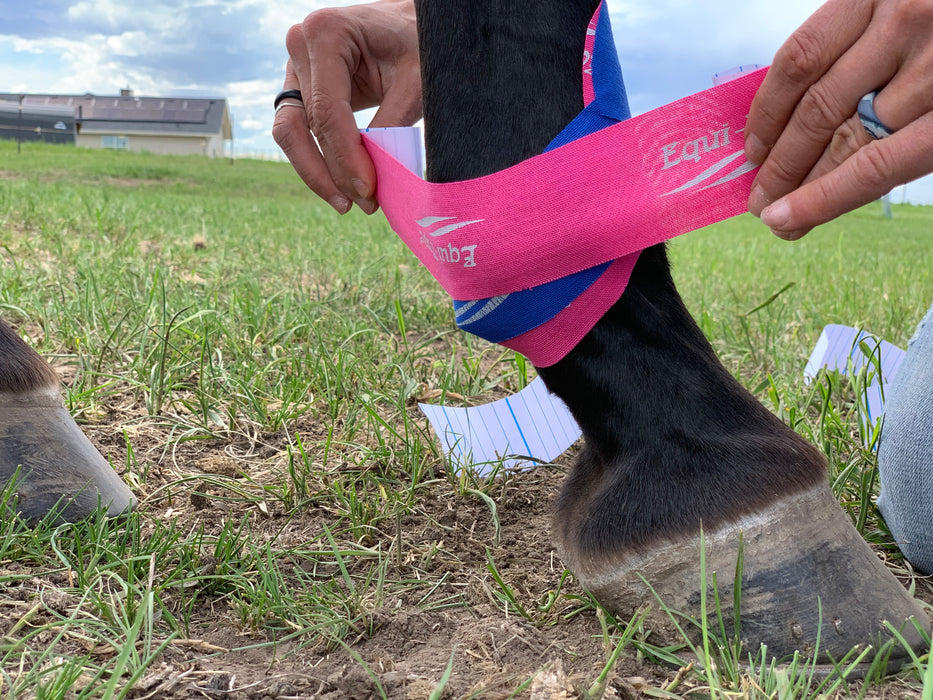 Equi-Tape® Application for fetlock support.