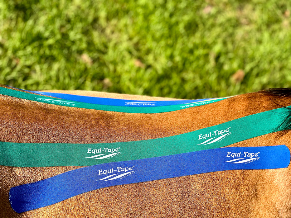 Equi-Tape®'s equine kinesiolofy tape application for back relaxation. This application would be great for every horse. Reduce discomfort, relieve pain, relax muscles. Can be used under tack, while in work, or during turn out. 